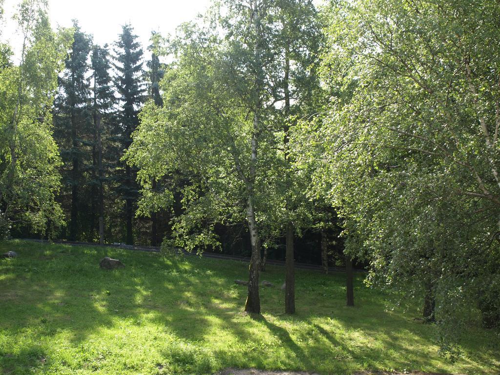 Luft